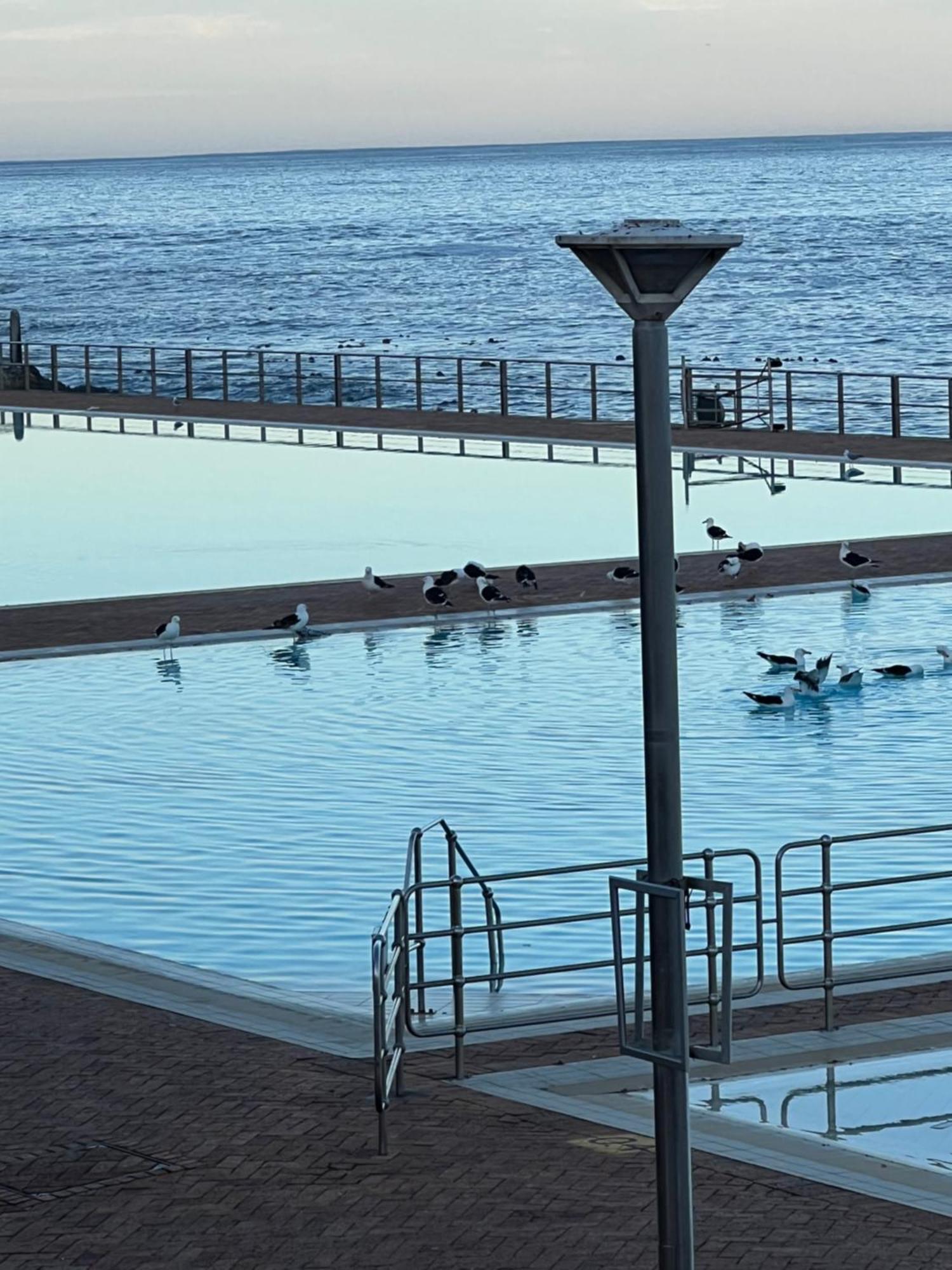 Sea Point Kingsgate No 10 Lejlighed Kapstaden Eksteriør billede